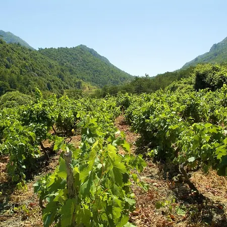 Apartmán Beachfront In Tri Porte, With Sea View, Terrace, Air Conditioning, Wifi 5208-2 *