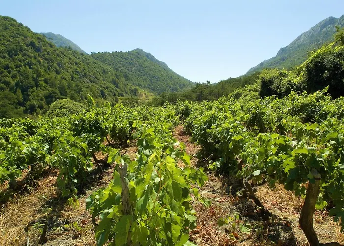 Apartmán Beachfront In Tri Porte, With Sea View, Terrace, Air Conditioning, Wifi 5208-2 *